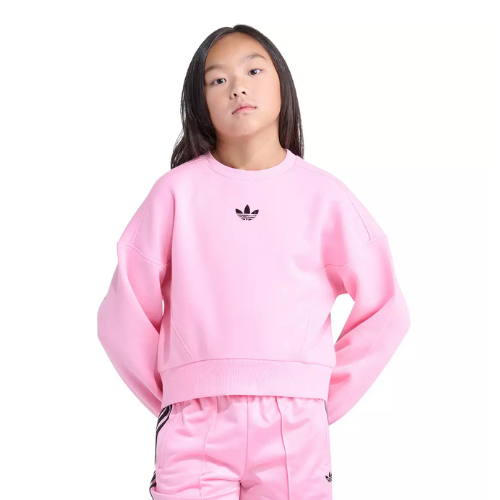 ONLY $13.48 (Reg. $45) adidas Girls' Small Logo Fleece Crewneck Sweatshirt - at Adidas