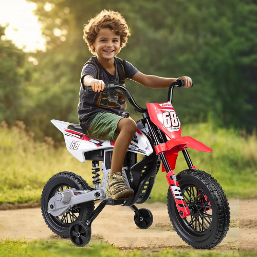 ONLY $129.99 (Reg. $282) Alex 12V Kids Ride-On Motorcycle at Wayfair - at Wayfair