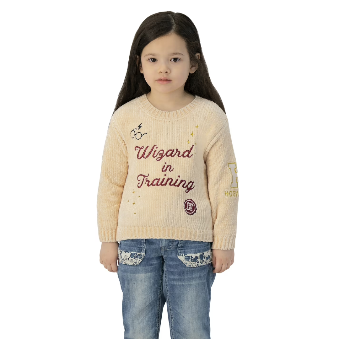 ONLY $6.99 (Reg. $14) Character Toddler Girls Chenille Sweater at Walmart - at Walmart