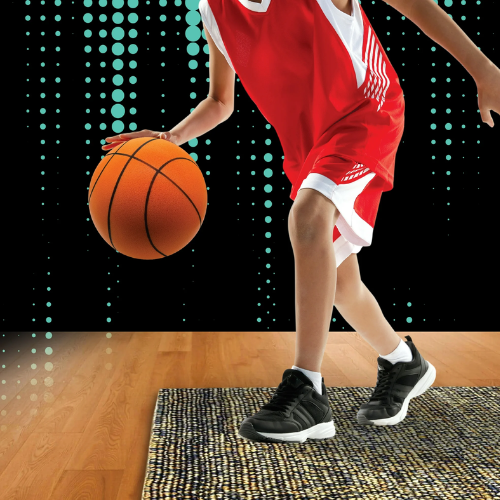 Supreme Silent Hoops Standard Size Indoor Basketball ONLY $19.99 at Walmart - at Walmart